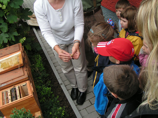 pict3701.jpg