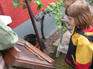 pict3703.jpg