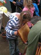pict3716.jpg