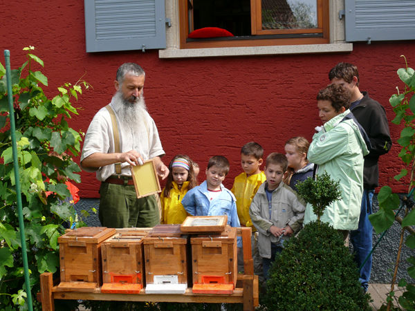 kiga_waldfeld_02-07-07_19.jpg