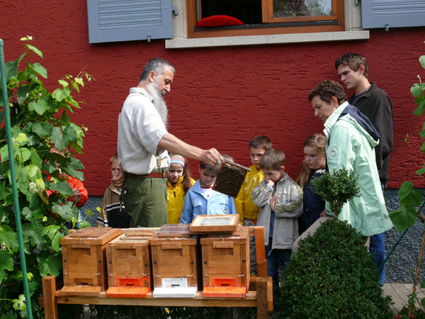 kiga_waldfeld_02-07-07_20.jpg