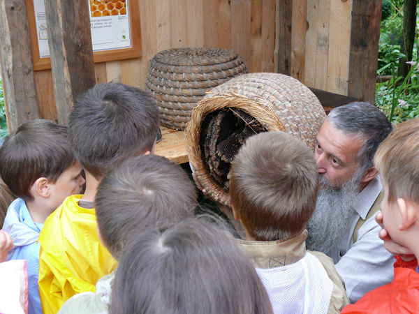 kiga_waldfeld_02-07-07_8.jpg